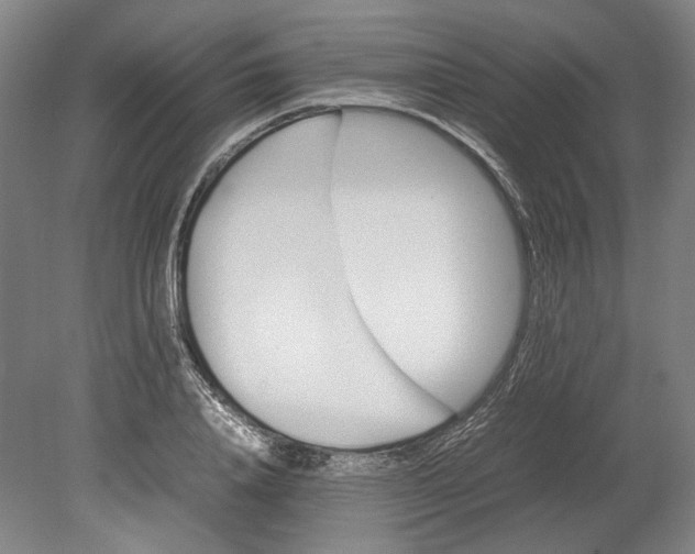 X0000080680840200701051032