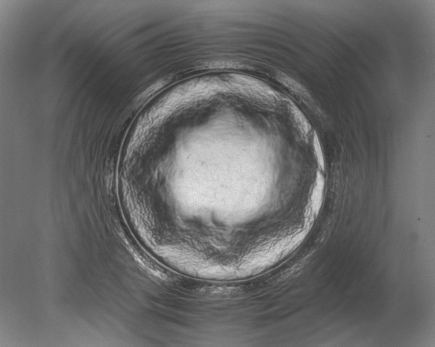 X0000080680841200701051032