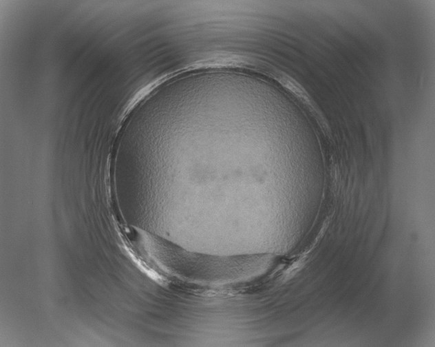 X0000080680842200701051032