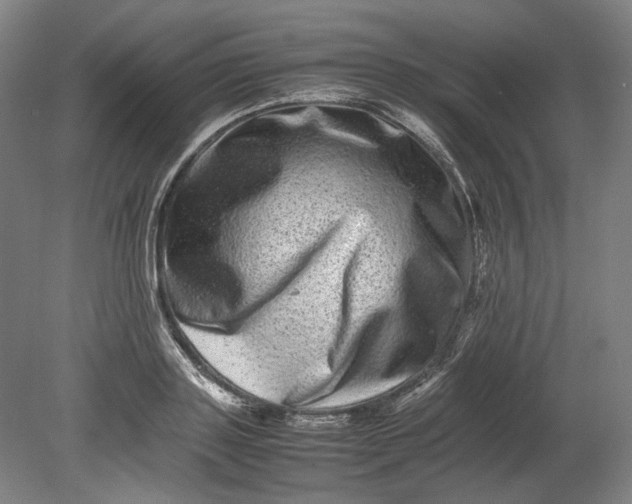 X0000080680843200701051032