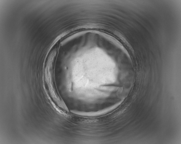 X0000080680845200701051032