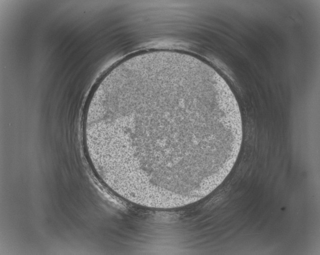 X0000080680848200701051032