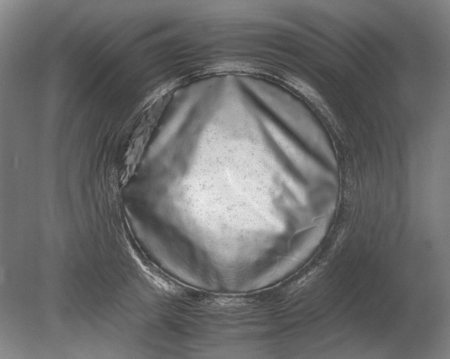 X0000080680849200701051032