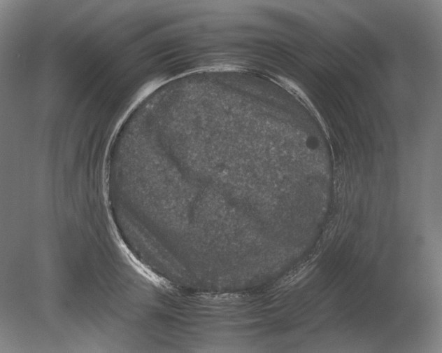 X0000080680851200701051032