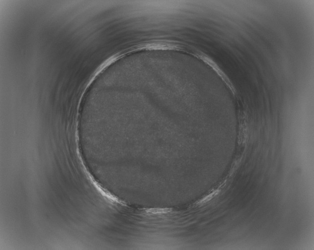 X0000080680853200701051032