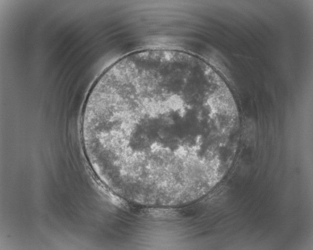 X0000080680856200701051032