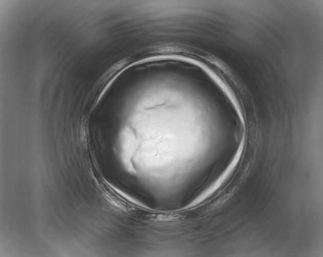 X0000080680857200701051032