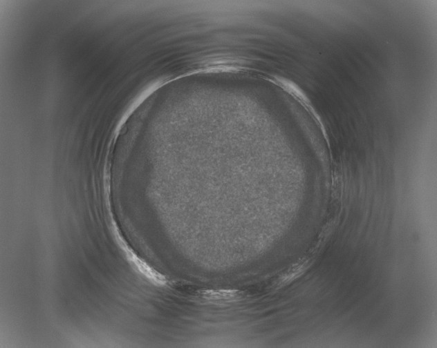 X0000080680859200701051032