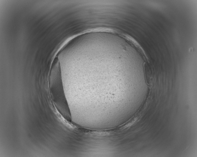 X0000080680860200701051032