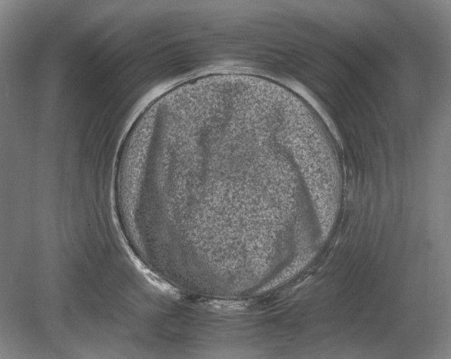 X0000080680861200701051032