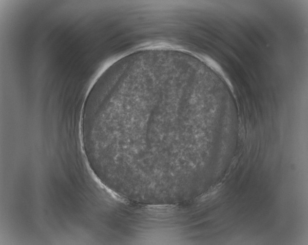 X0000080680863200701051032