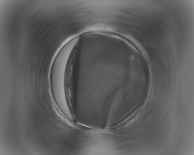 X0000080680864200701051032