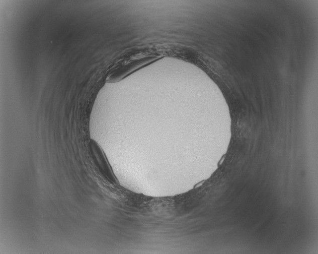 X0000080680865200701051032