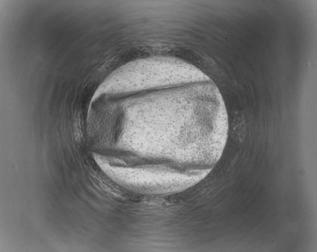 X0000080680866200701051032