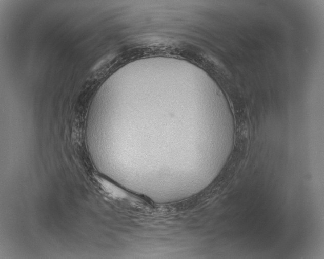 X0000080680869200701051032