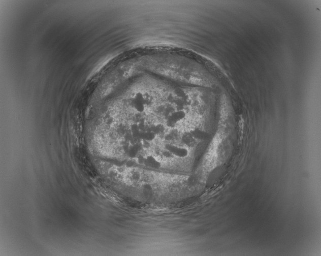 X0000080680871200701051032