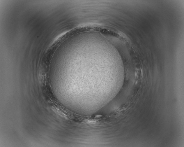 X0000080680872200701051031