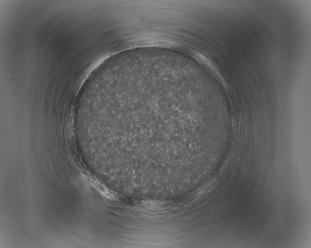 X0000080680875200701051031