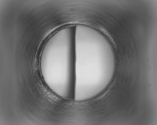 X0000080680876200701051031