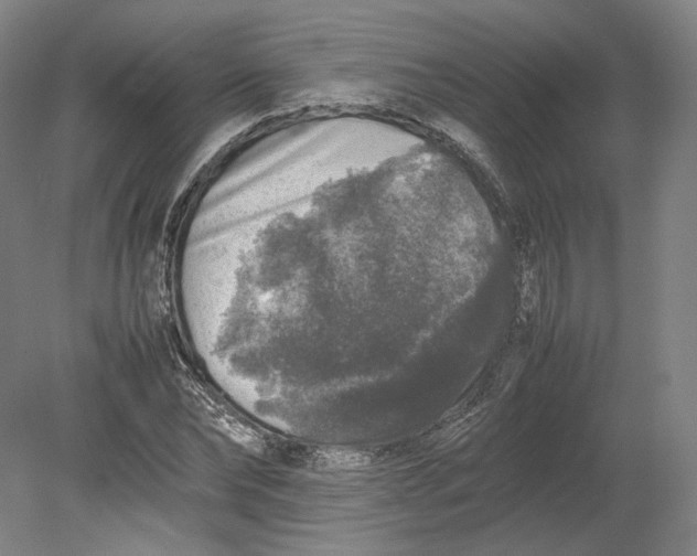 X0000080680878200701051031