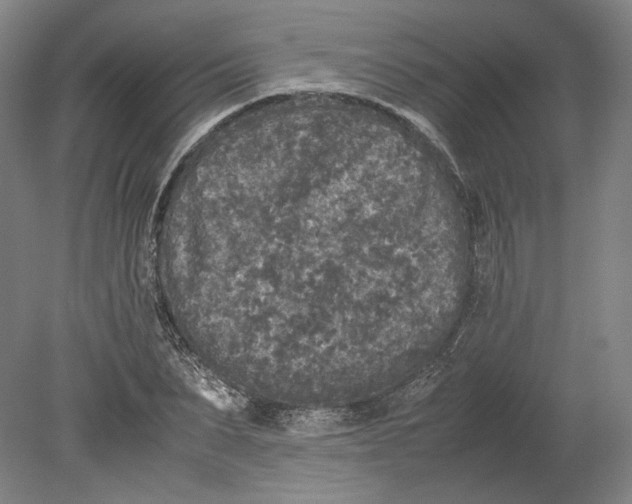 X0000080680879200701051031