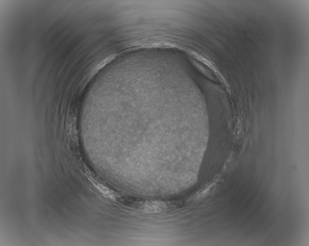 X0000080680881200701051031