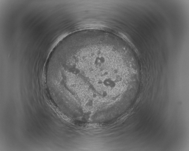 X0000080680883200701051031