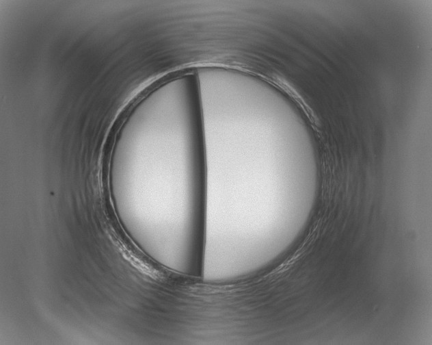 X0000080680884200701051031