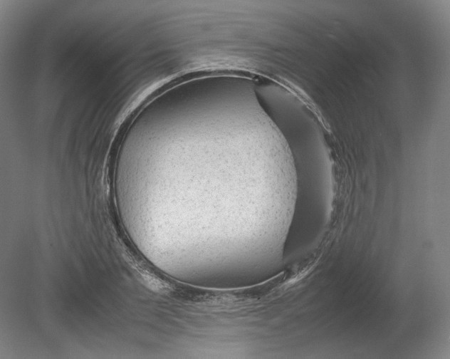 X0000080680885200701051031