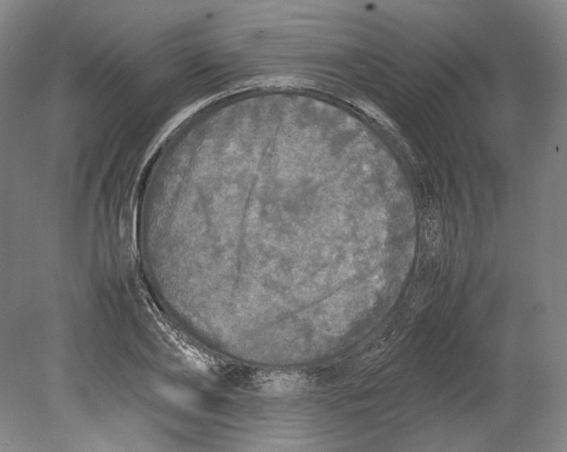 X0000080680886200701051031