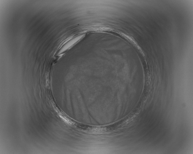 X0000080680889200701051031