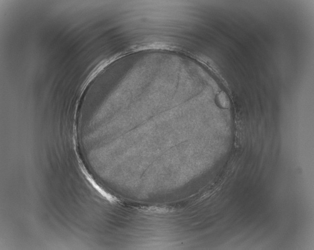 X0000080680890200701051031