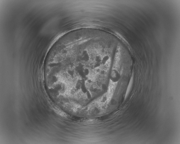 X0000080680891200701051031