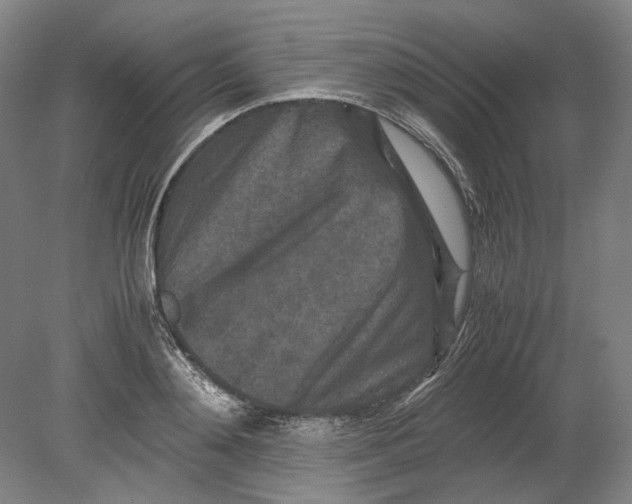 X0000080680892200701051031