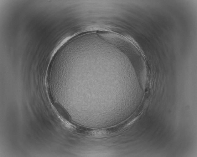 X0000080680893200701051031