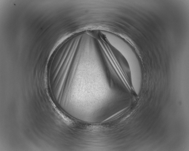 X0000080680894200701051031