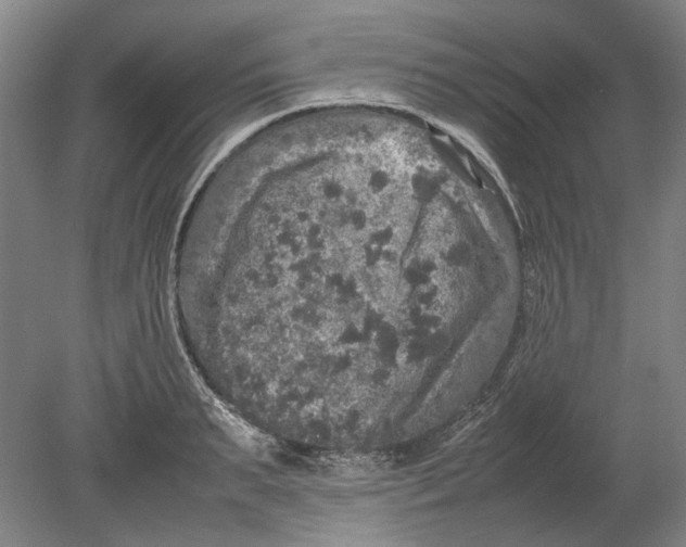 X0000080680895200701051031