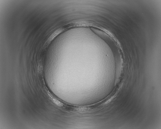 X0000080680897200701051031