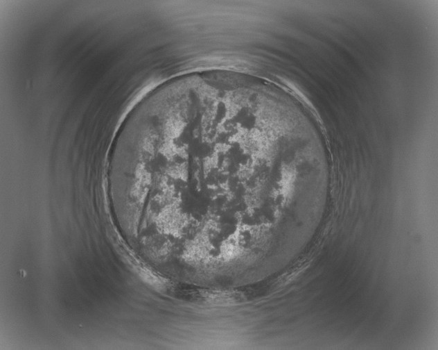 X0000080680899200701051031