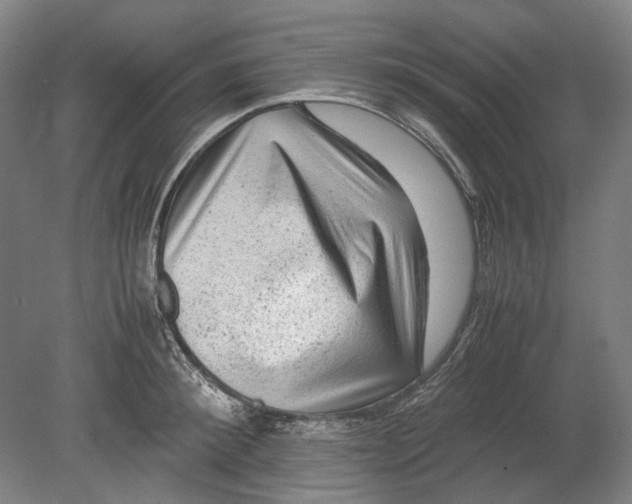 X0000080680900200701051031