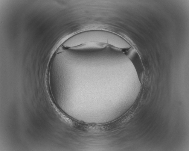 X0000080680901200701051031