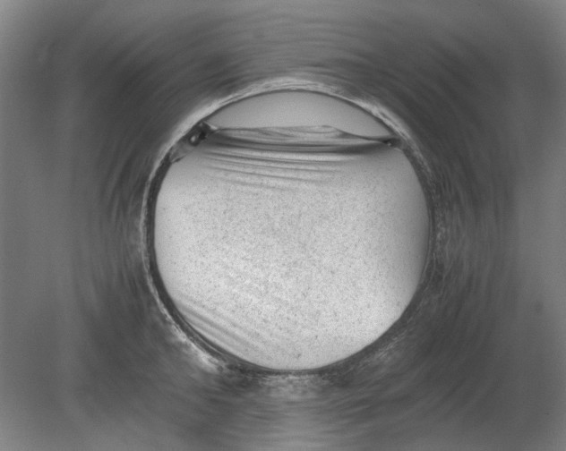 X0000080680902200701051031