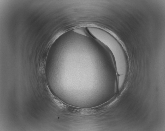 X0000080680905200701051031