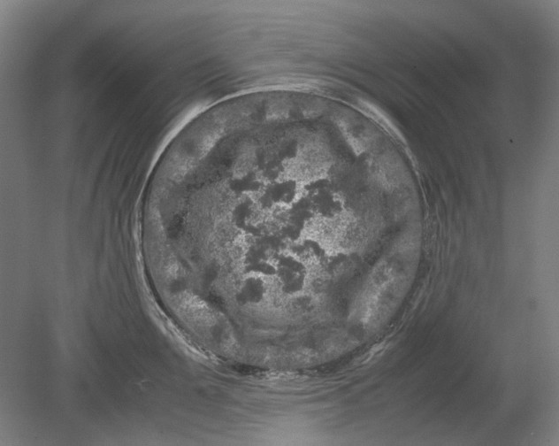 X0000080680907200701051031