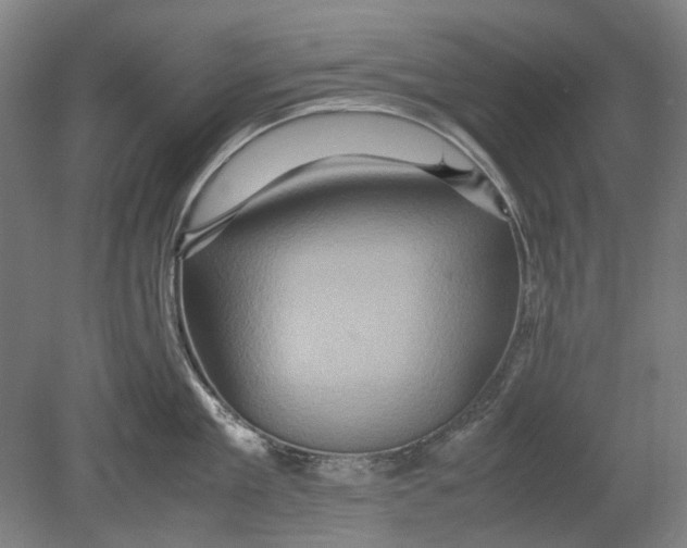 X0000080680909200701051031