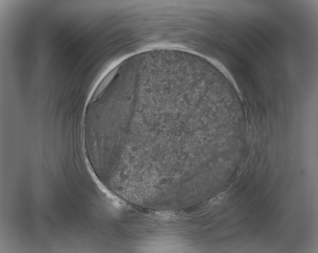 X0000080680911200701051031