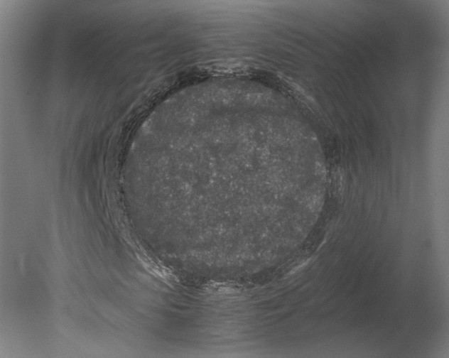 X0000080680913200701051030