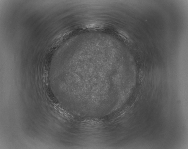 X0000080680917200701051030