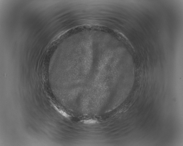 X0000080680919200701051030