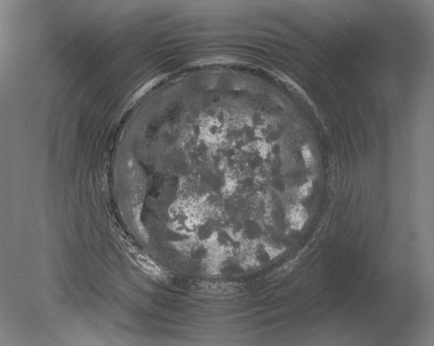 X0000080680921200701051030